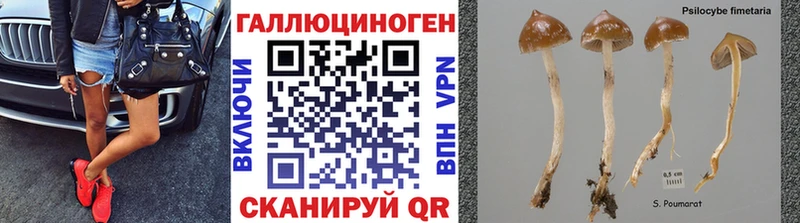 Галлюциногенные грибы MAGIC MUSHROOMS Лениногорск